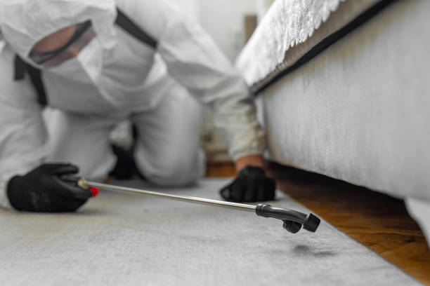 Professional Cockroach Control technician working in Kewanee, IL
