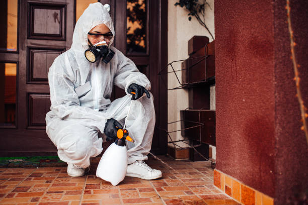 Reliable Cockroach Control contractor in Kewanee, IL by Nex Pest Control